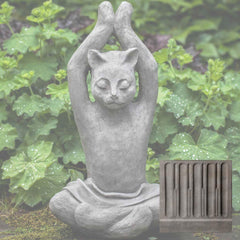 Campania Yoga Cat