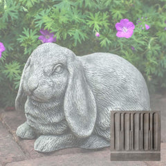Campania Lop-Eared Bunny