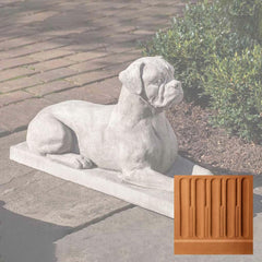 Campania Boxer