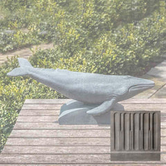 Campania Humpback Whale