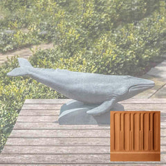 Campania Humpback Whale