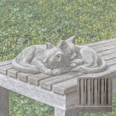 Campania Nap Time Kittens