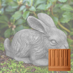 Campania Bunny
