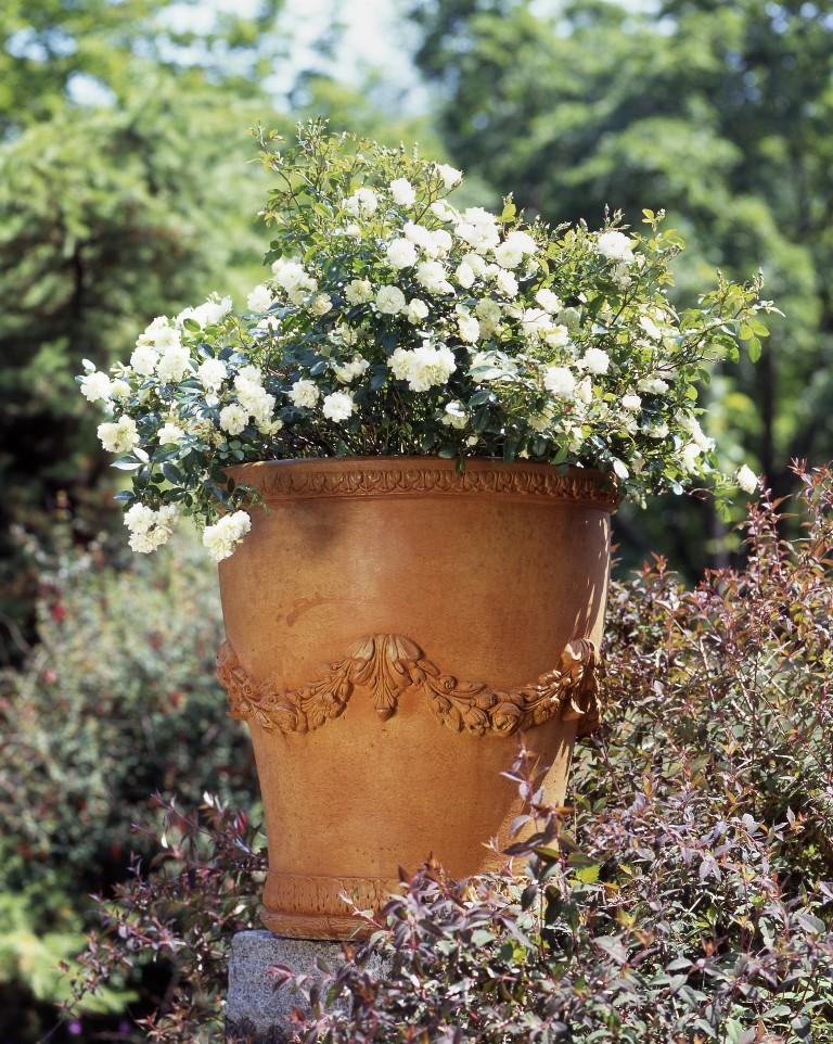 Gardenstone Almani Planters Gardenstone 