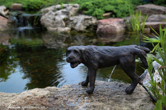 Photo of Aquascape Naughty Dog Spitter - Aquascape Canada