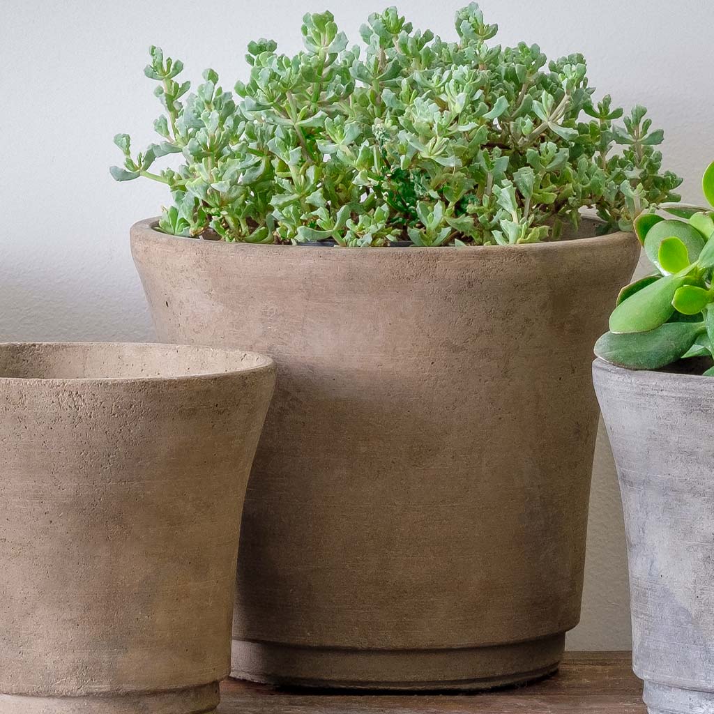 Cloche Planter - Small - Brown