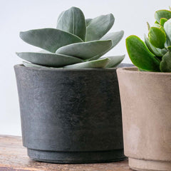 Cloche Planter - Wide - Charcoal