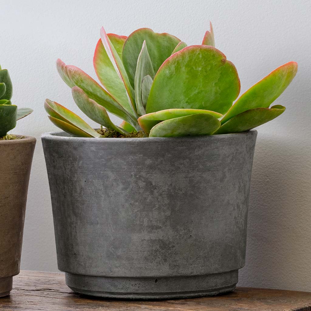 Cloche Planter - Wide - Grey