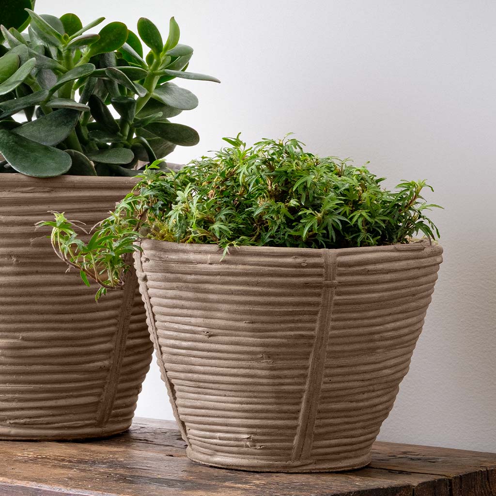 Reed Planter - Brown