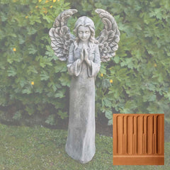 Campania Fiona's Angel