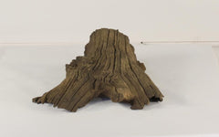 Photo of Floating Log 004 - Marquis Gardens