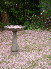 Photo of Gardenstone Lotus Birdbath - Marquis Gardens