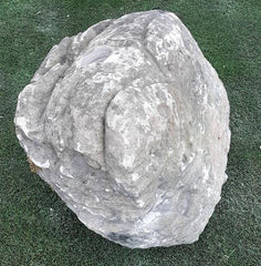 Moss Bubble Rock - 155