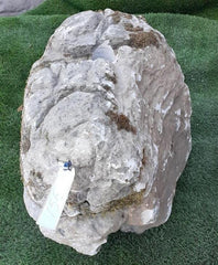 Moss Bubble Rock - 156