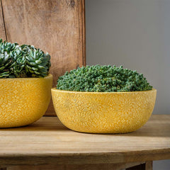 Photo of Campania Chrysanthemum Bowl Set of 4 - Marquis Gardens
