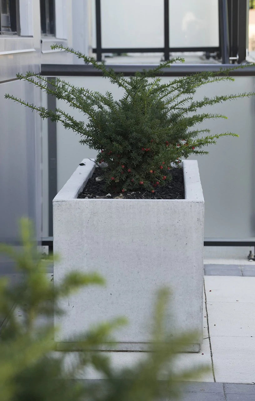commercial pots for plants SQ Series Commercial Planters