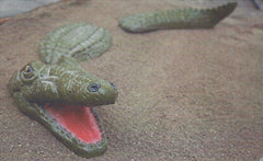 Photo of 3 Piece Alligator - Marquis Gardens
