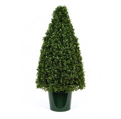 Photo of Tea Leaf Cone Topiary, 36"  - Marquis Gardens