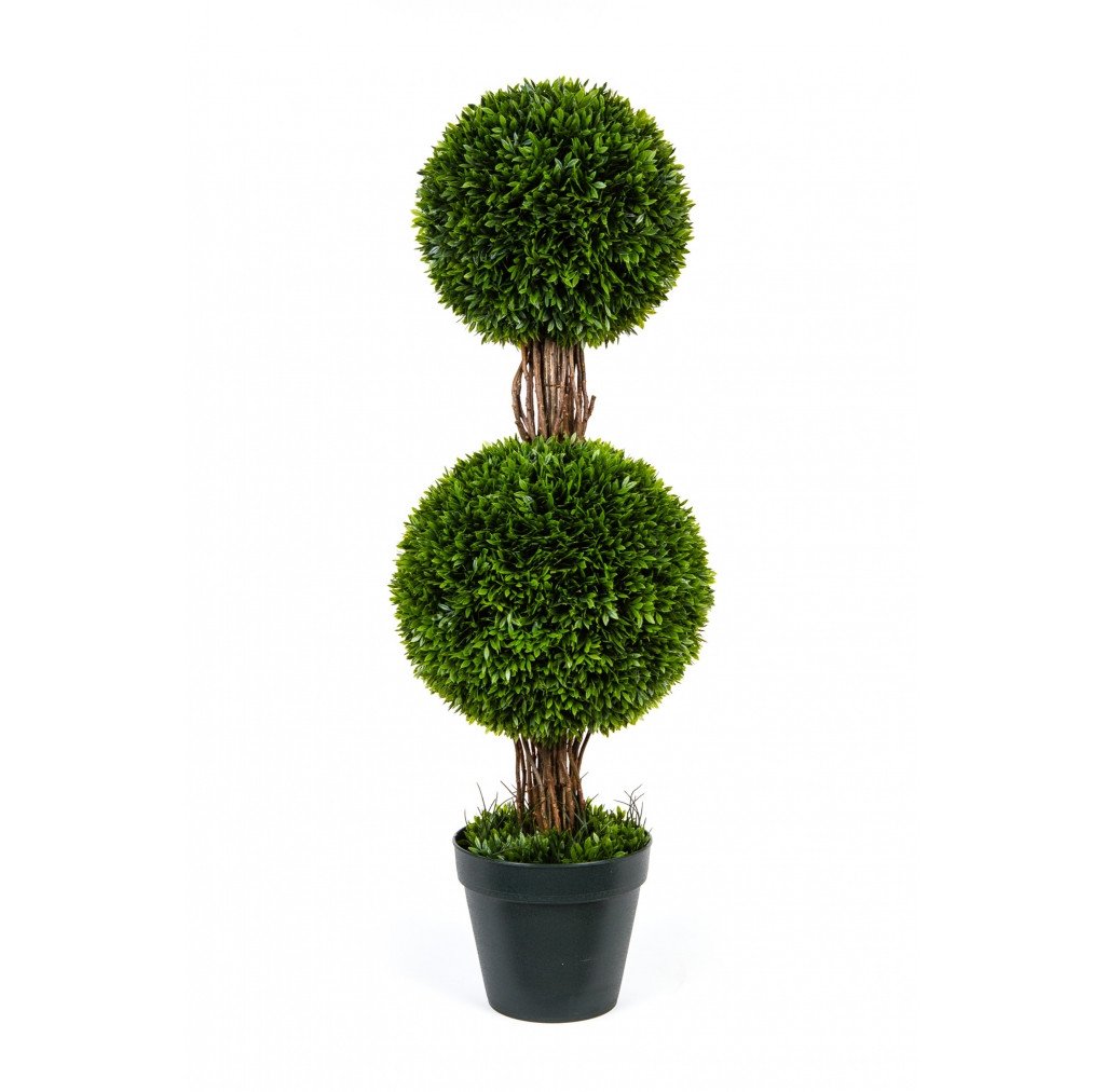 Photo of Podocarpus Topiary With Two Ball, 36"  - Marquis Gardens