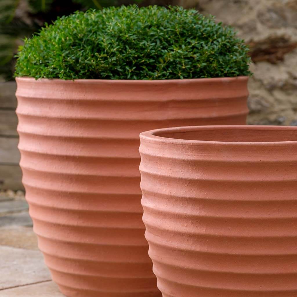 Photo of Campania Linea Planters Set of 3 - Marquis Gardens