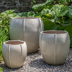 Photo of Campania Rib Vault Planter Set of 3 - Marquis Gardens