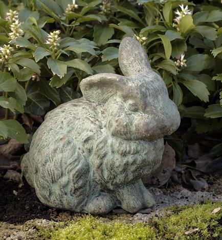 Photo of Campania Rabbit with 1 Ear Up - Marquis Gardens