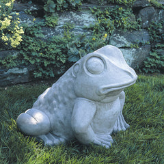 Photo of Campania Giant Garden Frog - Marquis Gardens