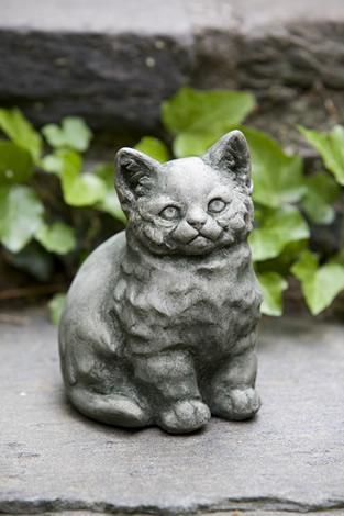 Photo of Campania Kitty - Marquis Gardens