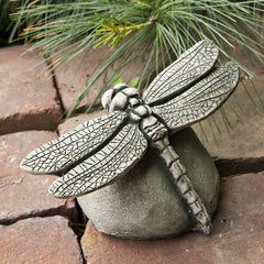Photo of Campania Dragonfly - Marquis Gardens