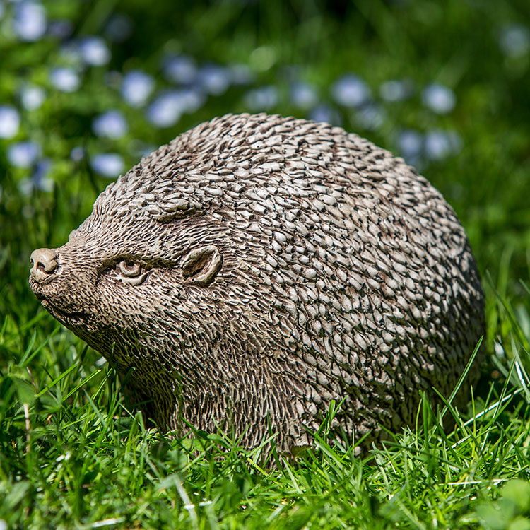 Photo of Campania Hedgerow - Marquis Gardens