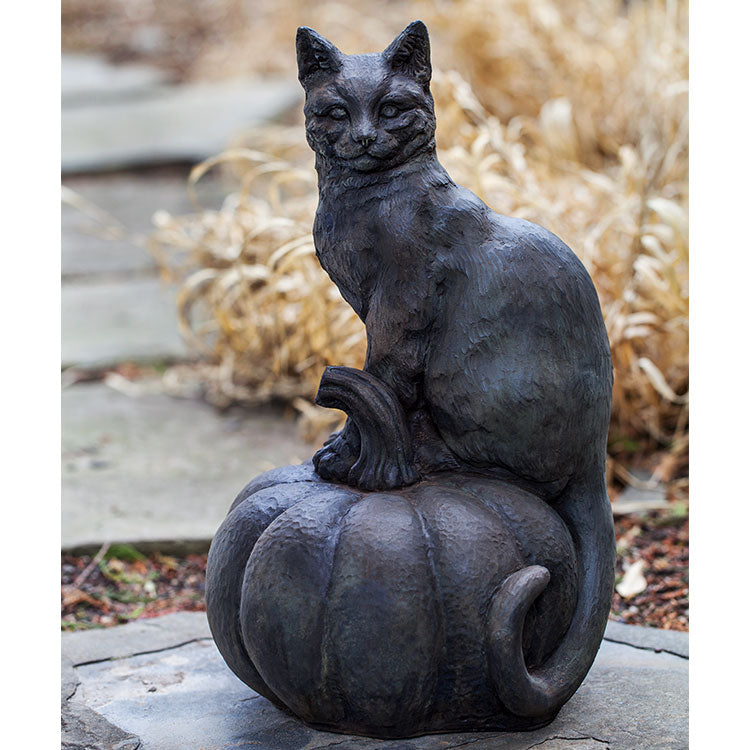 Photo of Campania Cat on Pumpkin - Marquis Gardens