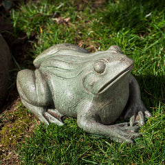 Photo of Campania Woodland Frog - Marquis Gardens