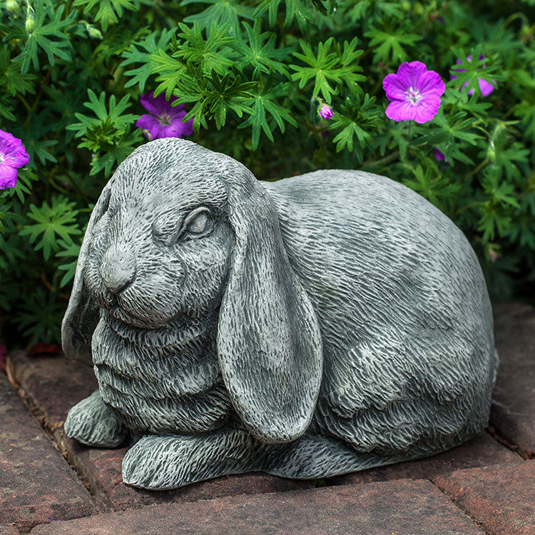Photo of Campania Lop-Eared Bunny - Marquis Gardens