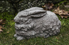 Photo of Campania Flemish Hare - Marquis Gardens