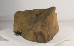 Photo of Accent Rock - AR-008 by Universal Rocks - Marquis Gardens