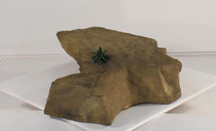Photo of Accent Rock - AR-012 by Universal Rocks - Marquis Gardens