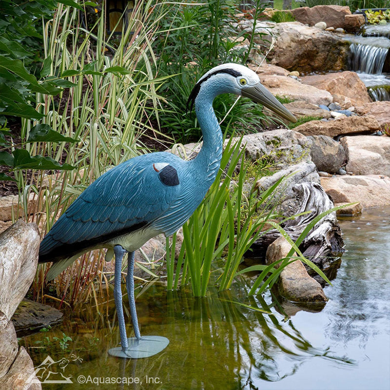 Photo of Aquascape Blue Heron Decoy - Marquis Gardens