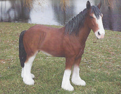 Photo of Clydesdale - Marquis Gardens