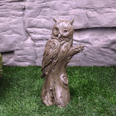 Photo of Woodlike Owl - Marquis Gardens