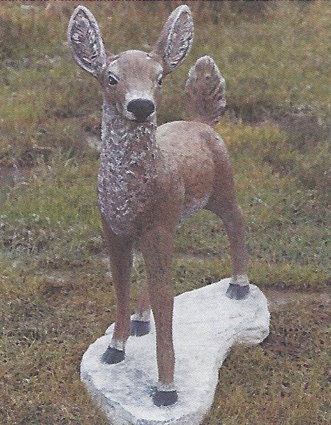 Photo of Doe - Marquis Gardens