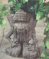 Photo of Face Pot with Mushrooms - Marquis Gardens