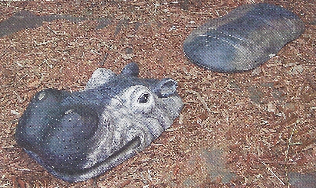 Photo of Hippo - Marquis Gardens