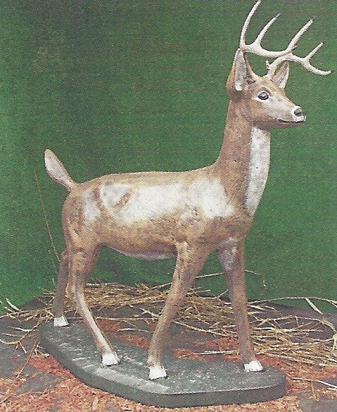Photo of Large Buck - Marquis Gardens