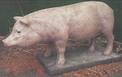 Photo of Large Pig - Marquis Gardens
