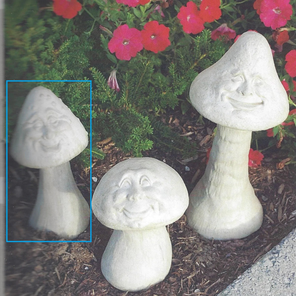 Photo of Happy Mushroom - Marquis Gardens