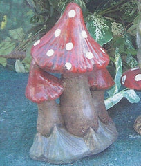 Photo of Mushroom Red - Marquis Gardens