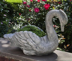 Photo of Campania Newport Swan - Marquis Gardens
