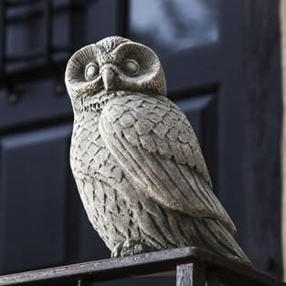 Photo of Campania Night Owl - Marquis Gardens