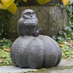Photo of Campania Owl on Pumpkin - Marquis Gardens