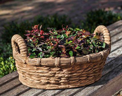 Photo of Campania Provencal Basket Planter - Marquis Gardens